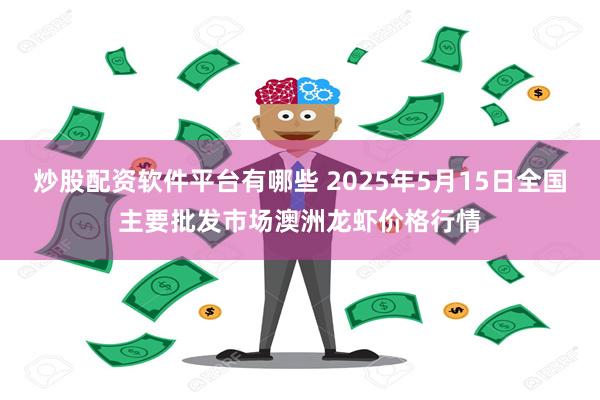 炒股配资软件平台有哪些 2025年5月15日全国主要批发市场澳洲龙虾价格行情