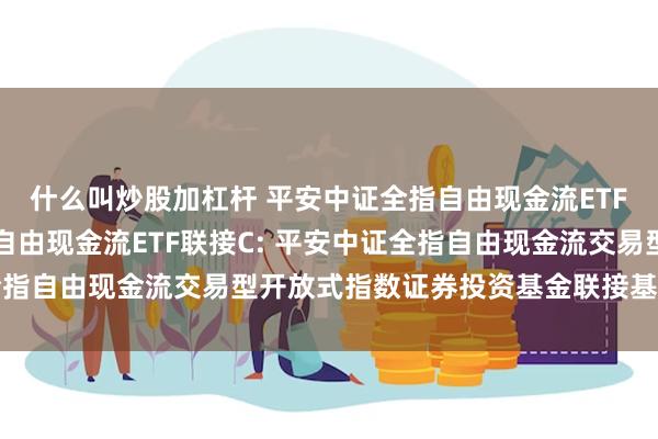 什么叫炒股加杠杆 平安中证全指自由现金流ETF联接A,平安中证全指自由现金流ETF联接C: 平安中证全指自由现金流交易型开放式指数证券投资基金联接基金基金合同