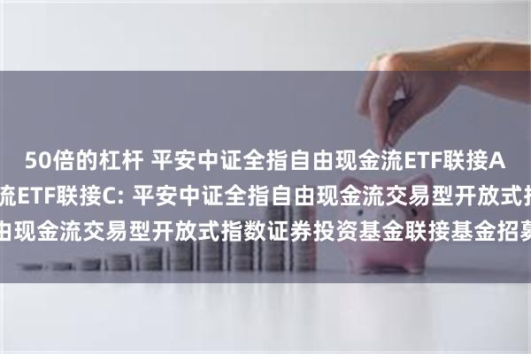 50倍的杠杆 平安中证全指自由现金流ETF联接A,平安中证全指自由现金流ETF联接C: 平安中证全指自由现金流交易型开放式指数证券投资基金联接基金招募说明书