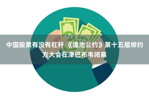 中国股票有没有杠杆 《湿地公约》第十五届缔约方大会在津巴布韦闭幕